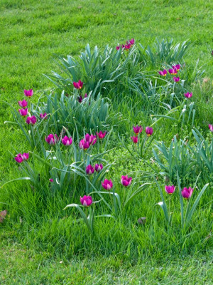 20140401_8606.jpeg
