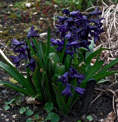 DSC_8428_DxO.jpg