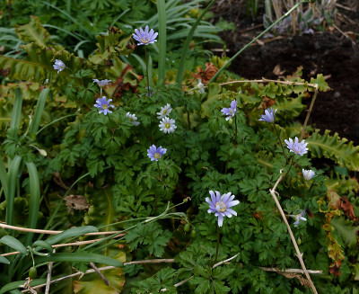 DSC01765_DxO.jpg