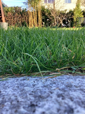 IMG_0264.jpeg