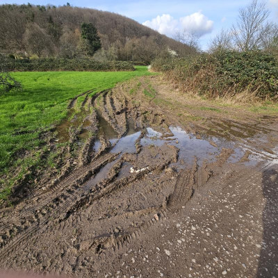 Spuren im Schlamm 20240319_154712.jpg