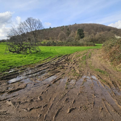 Spuren im Schlamm 20240319_154730.jpg