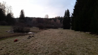 IMG-20240319-WA0030.jpeg