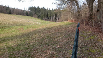 IMG-20240320-WA0008.jpeg