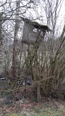 IMG-20240320-WA0000.jpeg