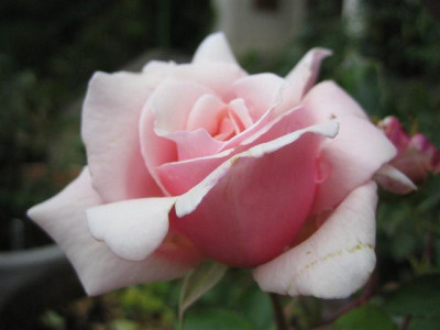 IMG_3268_Small.JPG