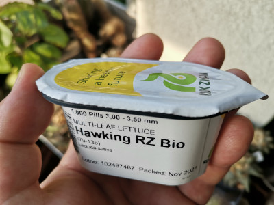 Salanova Hawking Samen.jpeg
