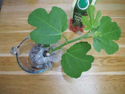 P1010045.JPG