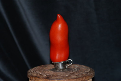 andenhorn.jpg