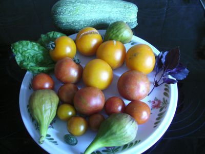 Tomatenernte_II.jpg