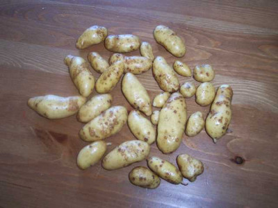K640_100_5538.JPG