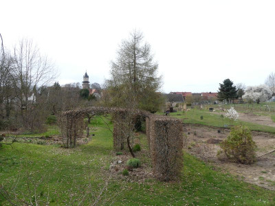 2024-03-27 Garteneinblick 12.jpg