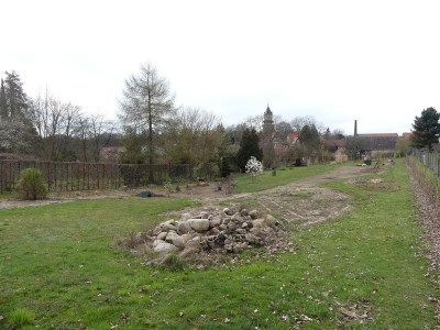 2024-03-27 Garteneinblick 13.jpg