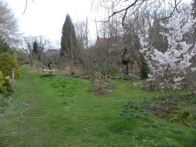 2024-03-27 Garteneinblick 15.jpg