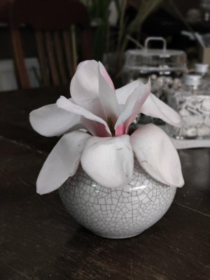 IMG_20240328_221346_Bokeh.jpg