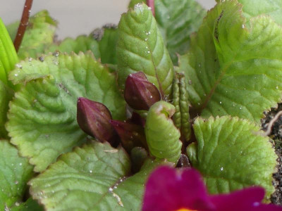 P1120195.JPG
