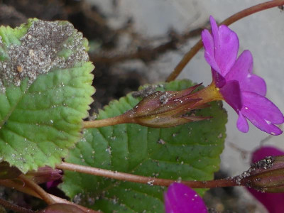 P1120196.JPG