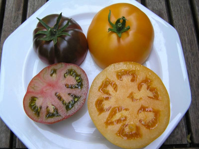 1tomaten2807.jpg