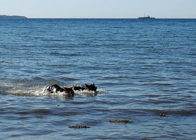 Ostsee5877.jpg