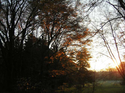morgens_472_35proz.jpg