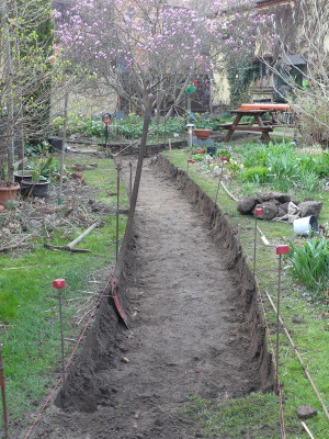 2024-03-31 Garteneinblick 3.jpg