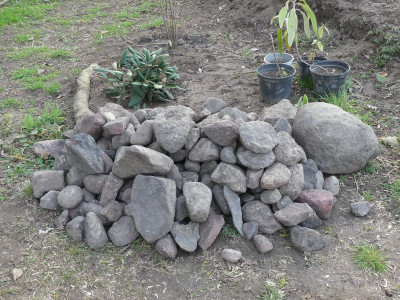 2024-03-31 Garteneinblick 5.jpg