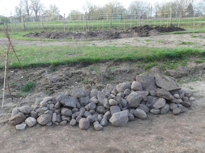 2024-03-31 Garteneinblick 7.jpg