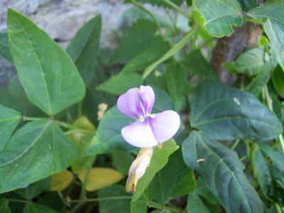 K640_100_5539.JPG