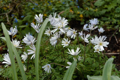 DSC01798_DxO.jpg