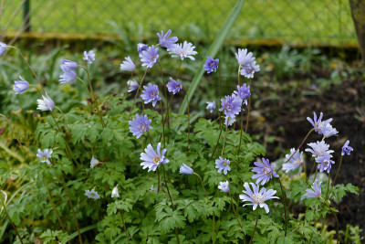 DSC01797_DxO.jpg