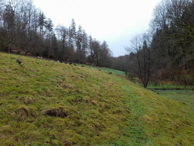 20240403_092950.jpg