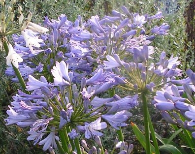 Aga_Mariette_052.jpg
