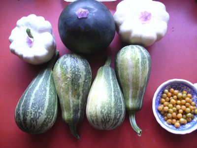 zucchiniernte.jpg