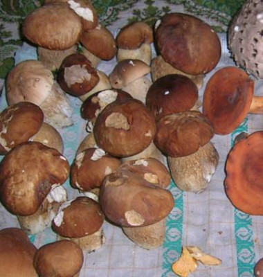 DSCN0892_kl.jpg