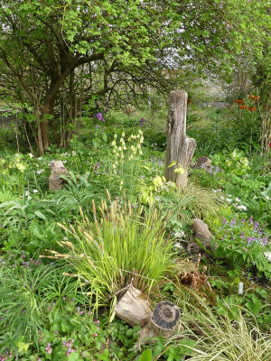 2024-04-07 Gartenimpressionen 3.jpg