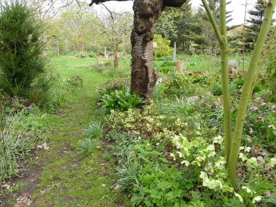 2024-04-07 Gartenimpressionen 9.jpg