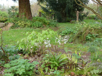 2024-04-07 Gartenimpressionen 27.jpg