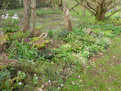 2024-04-07 Gartenimpressionen 17.jpg