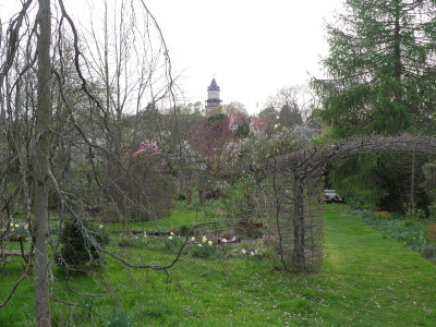 2024-04-07 Gartenimpressionen 31.jpg