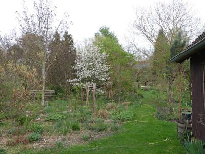 2024-04-07 Gartenimpressionen 24.jpg