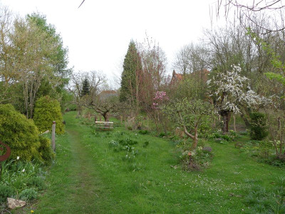 2024-04-07 Gartenimpressionen 25.jpg