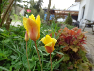DSC04387.JPG
