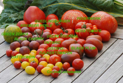 Ernte-08-07-29_beschriftet.jpg
