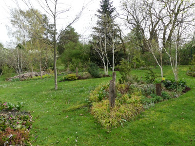 2024-04-07 Gartenimpressionen 37.jpg