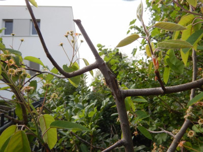 DSCN8358.JPG