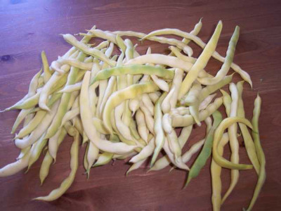 K640_100_5570.JPG