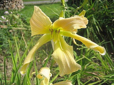 GT07-KR9.1_22091.jpg