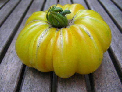 erstecopia310708.jpg