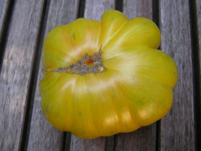 copiavonunten.jpg