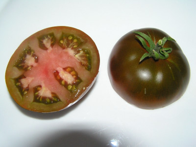blackrussin310708.jpg